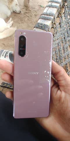 sony xperia 5 mark 2