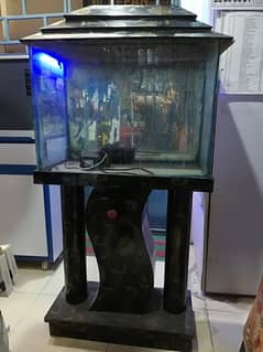 Fish Aquarium