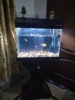 Aquarium