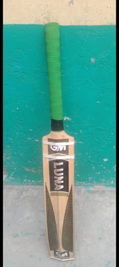hard ball bat
