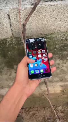 iphone 6splus