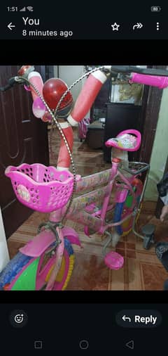 baby pink bicycle