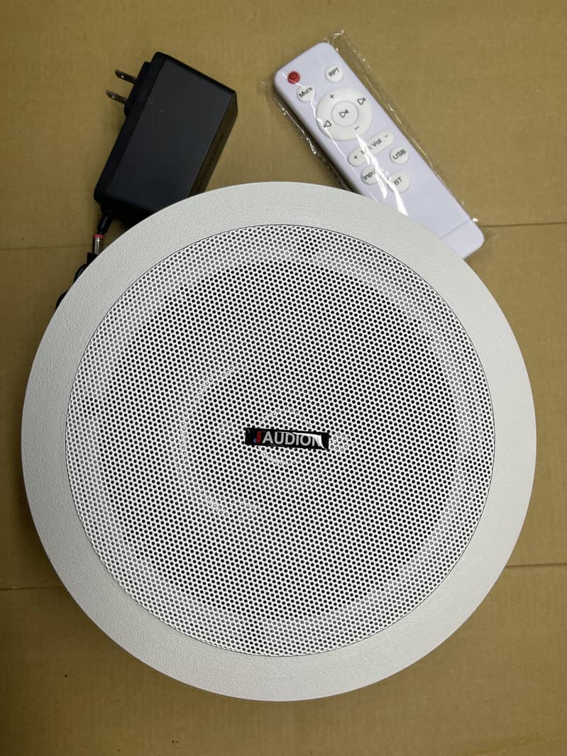 Bluetooth Ceiling Speaker 1