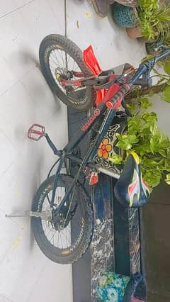 cycle