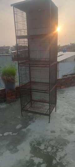 Bird Cage for Sale