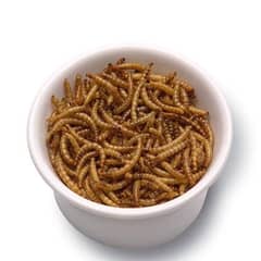 mealworms 3 rupees pr piece
