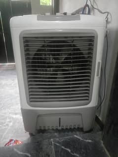 Cooler