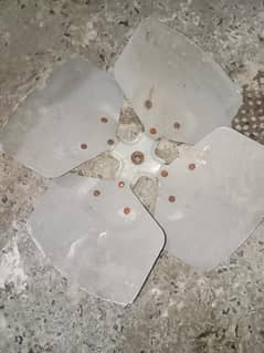 bary size ka blade
