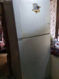 Pel full size fridge