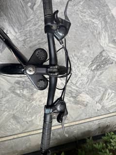 Roman bike