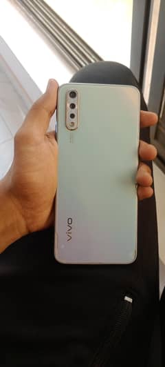 vivo