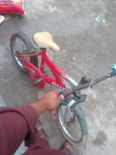 bycycal