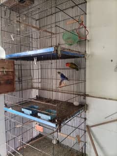 Parrot's Cage