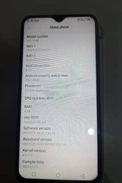 vivo