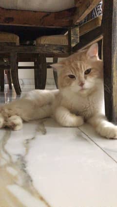 Selling