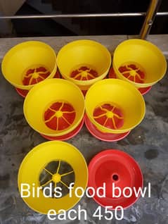 birds food tary and water tary