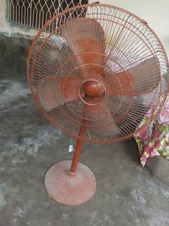fan