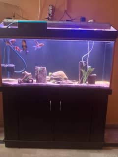 4ft