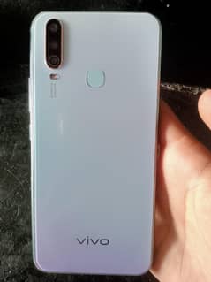 vivo