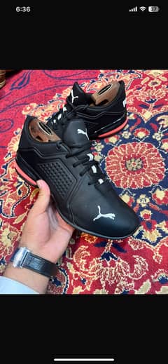 Puma