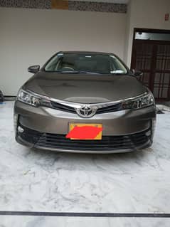 corolla