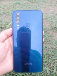 Vivo