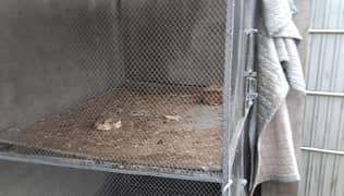 cage for sale