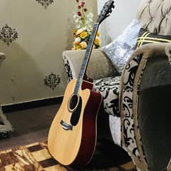 Acoustic Guitar