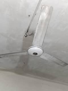 ceiling