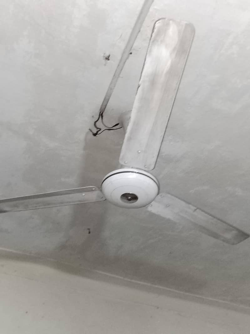 ceiling fan 0