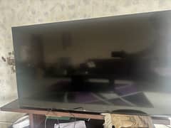 TCL 55 inch