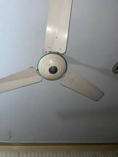 Fan For Sale