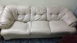 leather Sofa set water proof