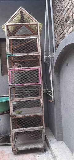 birds cage