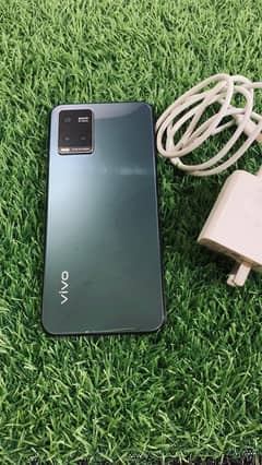 vivo