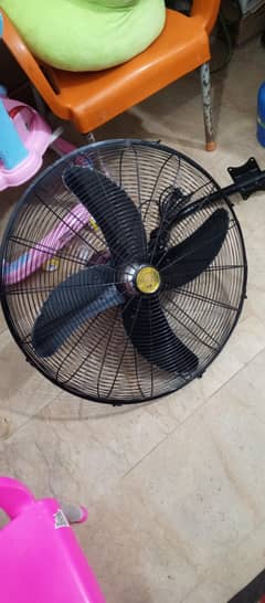 fan