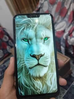 vivo