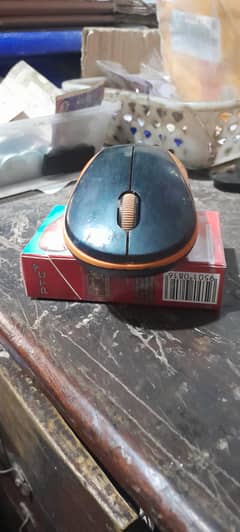 mouse