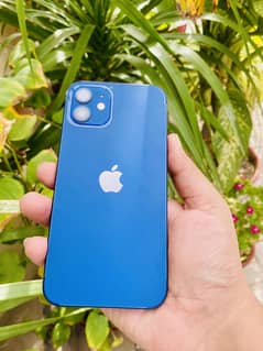Iphone 12 Non PTA