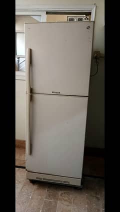 Pel Arctic Refrigerator