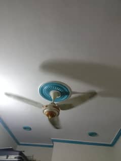 ceiling fan for sale