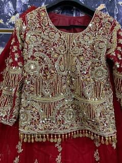 tail lehnga with full embroidery front back