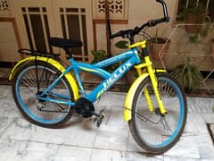 cycle