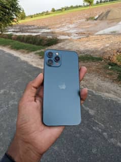 iPhone 12 pro max