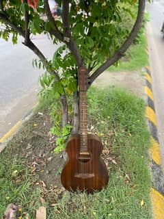 Professional Accoustic Guitar ( AKS)