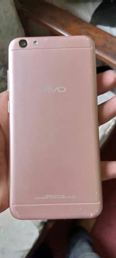 vivo