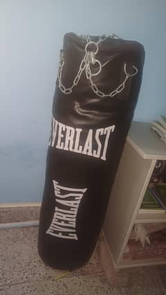 Punching Bag with gloves