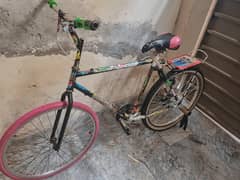 cycle