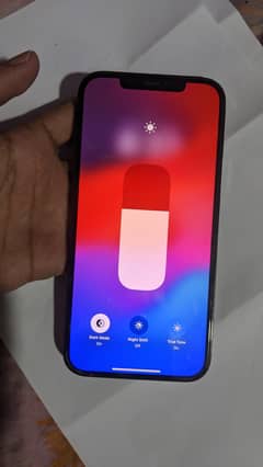 iphone 12 pro max 256GB