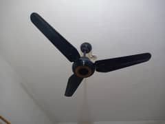 Ceiling Fan